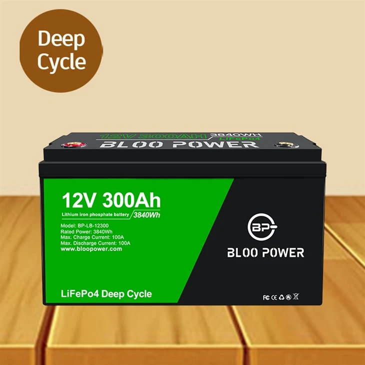 Lithium Ion Phosphate Battery Backup