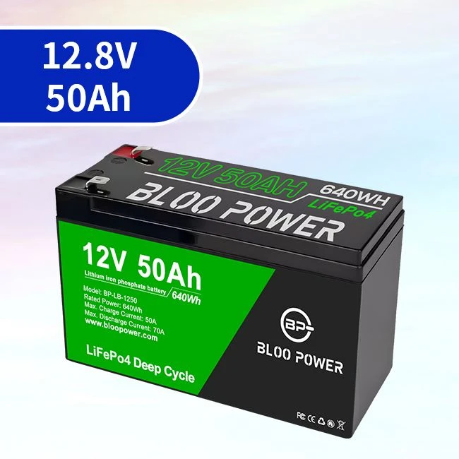 Built-in 50Ah BMS Lithium Ion Electric Bicycle Battery Pack Long-lasting Lifespan