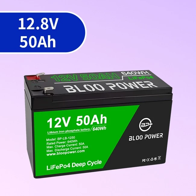 50Ah batterie lithium ion lifepo4 lithium battery