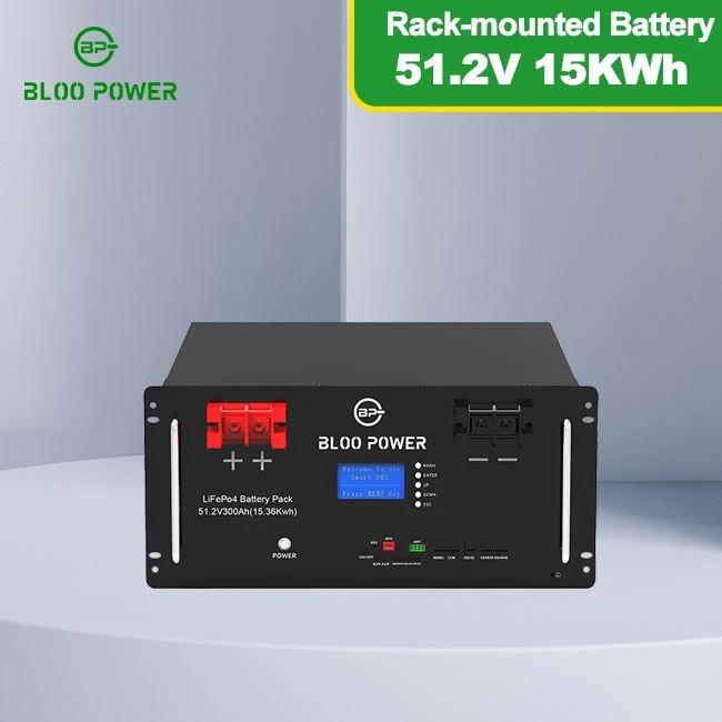Modular Design 48V 300Ah LiFePO4 Battery 5.12kWh Capacity Low Voltage BESS