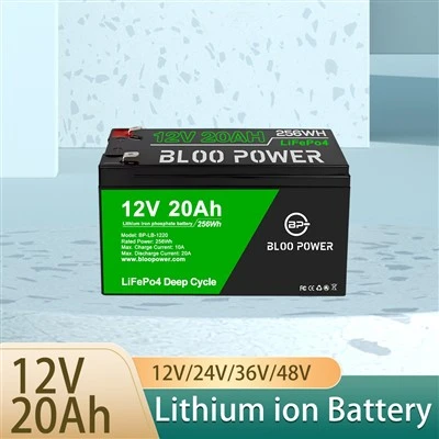 12V 24V 10AH 50AH 100AH ​​LITIUM JON Batterier levererar i tid