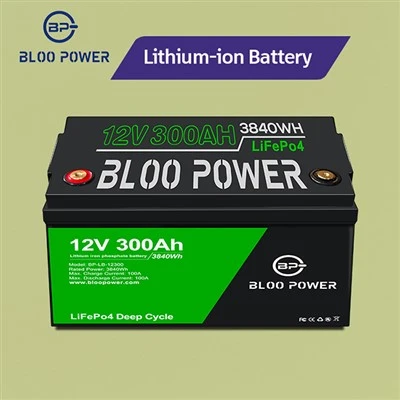 Litiumjärnfosfatbatteripaket med BMS-kort